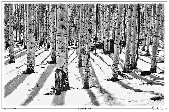 Aspen Patch-Escalente, UT