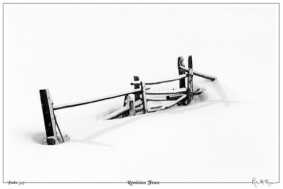 Reminisce Fence-Trout Creek Pass, CO