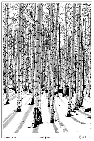 Stately Stand-Escalente, UT