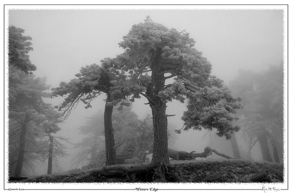 Winters Edge-Angeles Natl Forest, CA