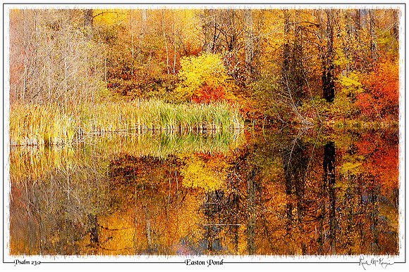 Easton Pond-Easton, WA