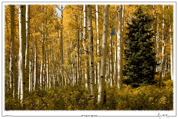 Evergreen Spread-Rico, CO