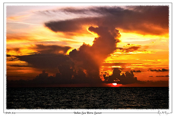 Indian Sea Horse Sunset-Indian Beach, FL
