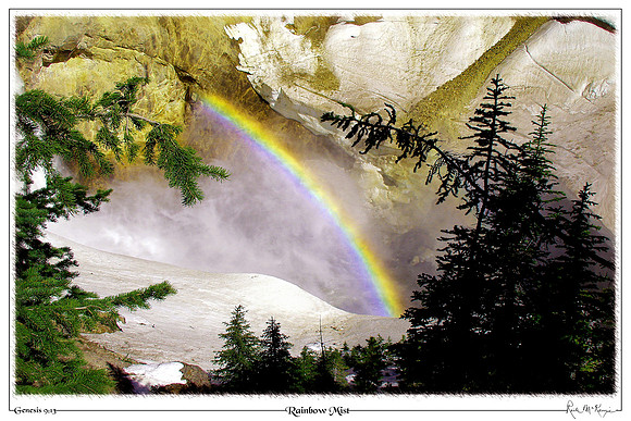 Rainbow Mist-Yellowstone Natl Pk, WY