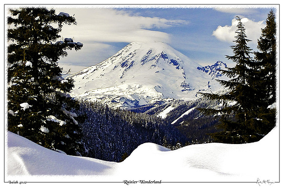 Rainier Wonderland-Mount Rainier Natl Pk, WA