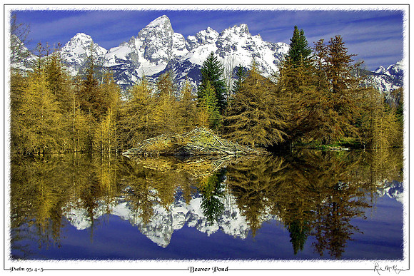 Beaver Pond-Schwabacher, Grand Teton Nat'l Pk, WY