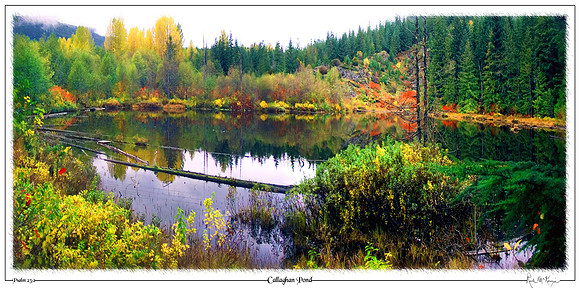 Callaghan Pond-Callaghan Lake Prov Pk, BC, CAN