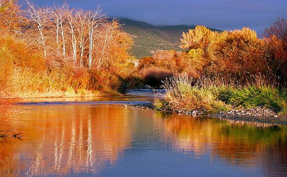 Autumn on the Gallatin-Gallatin River, Bozeman, MT