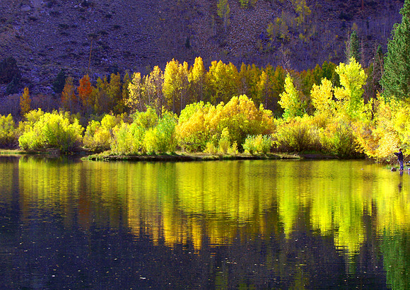 Color Cast-Sierra Nevada, CA