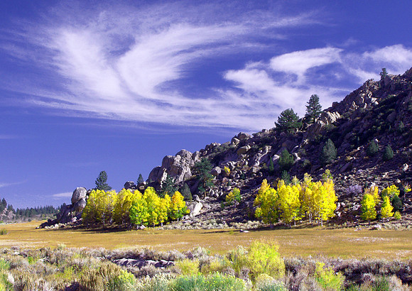 Color Point-Sierra Nevada, CA