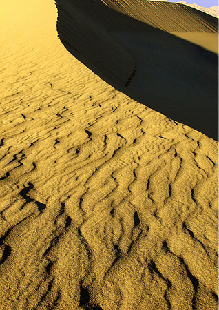 Desert Veins-Death Valley Natl Pk, CA