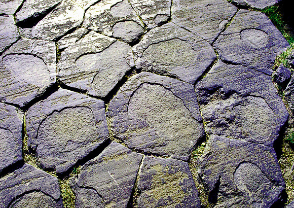 Devils Mark-Devils Postpile Natl Monument, CA