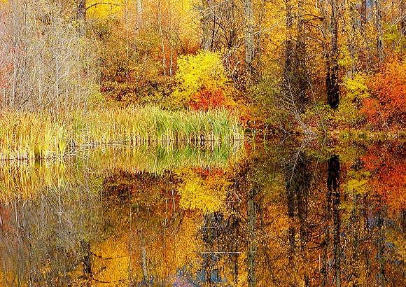 Easton Pond-Easton, WA
