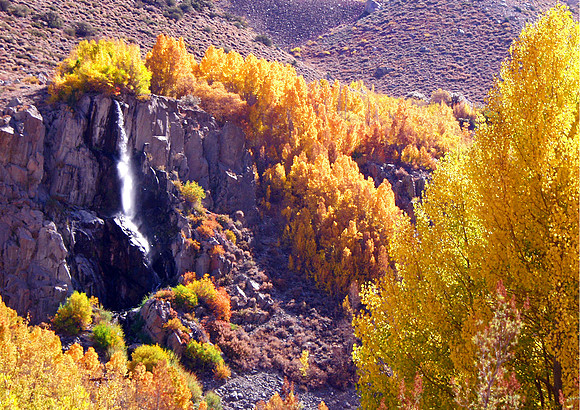 Fall Cadence-Sierra Nevada, CA