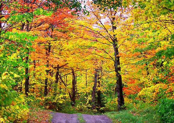 Fall Drive In-Dyer Brook, ME