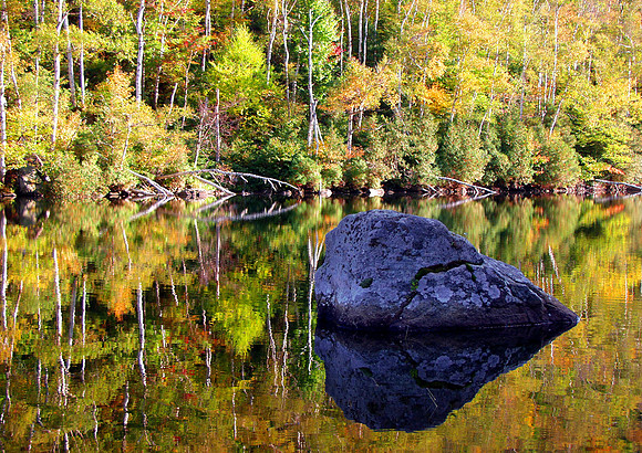 Fall in Rock-White Mountain Natl Forest, NH