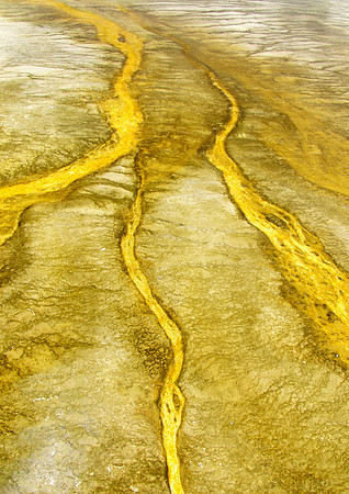 Golden Rule-Yellowstone Natl Pk, WY