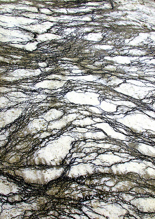 Marbled-Yellowstone Natl Pk, WY