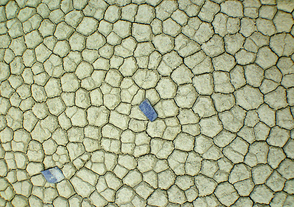 Playa Puzzle-Death Valley Natl Pk, CA