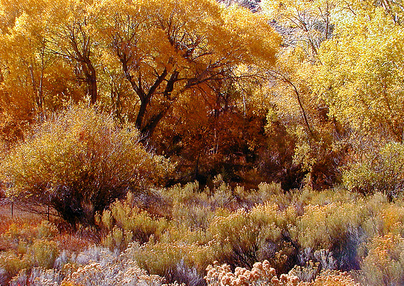 Utah Blast-Antelope Flat, UT