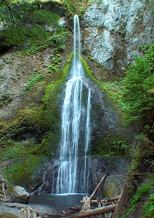 Marymere Falls, Olympic Natl Pk, WA