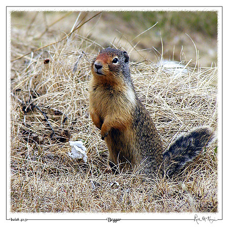 Beggar-Banff Natl Pk, Alberta, CAN