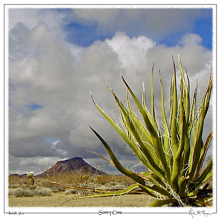 Sentry Cone-Sentinel, AZ