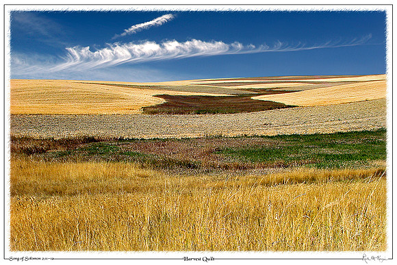 Harvest Quilt-Route 2 MT