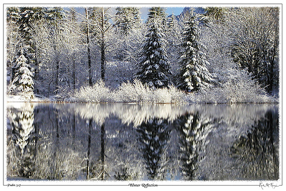Winter Reflection-Brewster Lake, WA