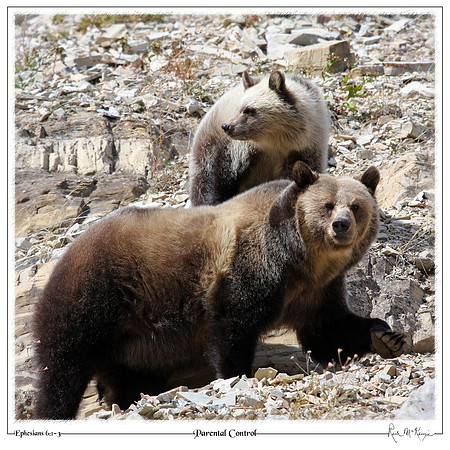 Parental Control-Glacier Natl Pk, MT