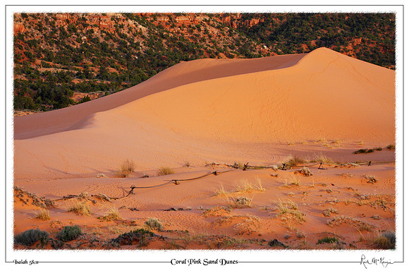 Coral Pink Sand Dunes-State Pk, Kanab, UT