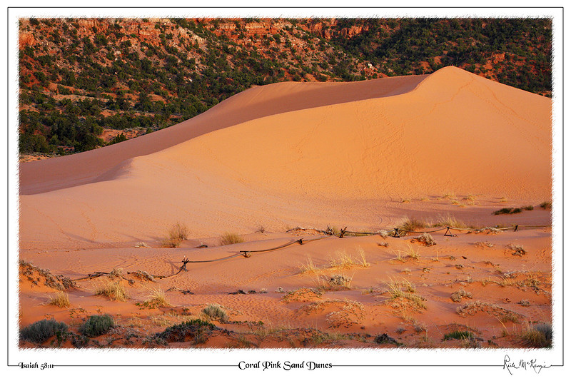 Coral Pink Sand Dunes-State Pk, Kanab, UT
