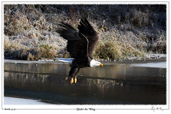 Under the Wing-Lake Levinski, Big Sky, MT
